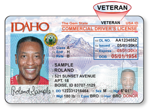 Hawaii Driver License Check